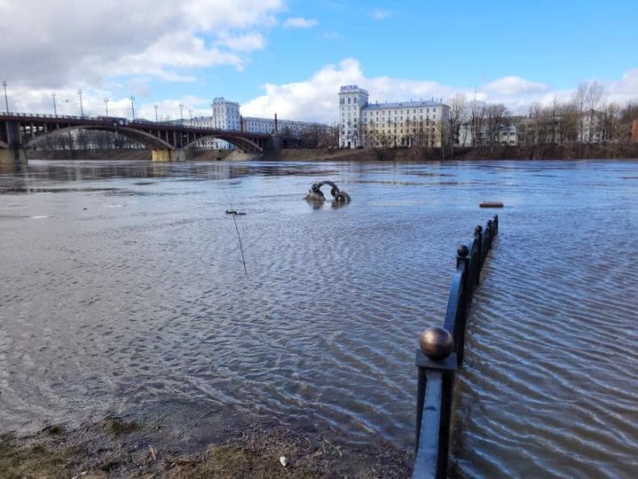 Как золотая рыбка в Витебске утонула