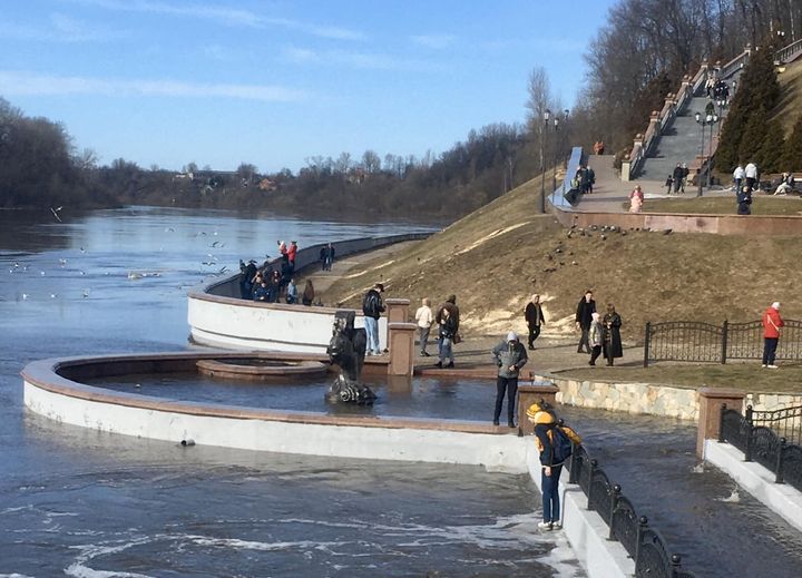Как золотая рыбка в Витебске утонула
