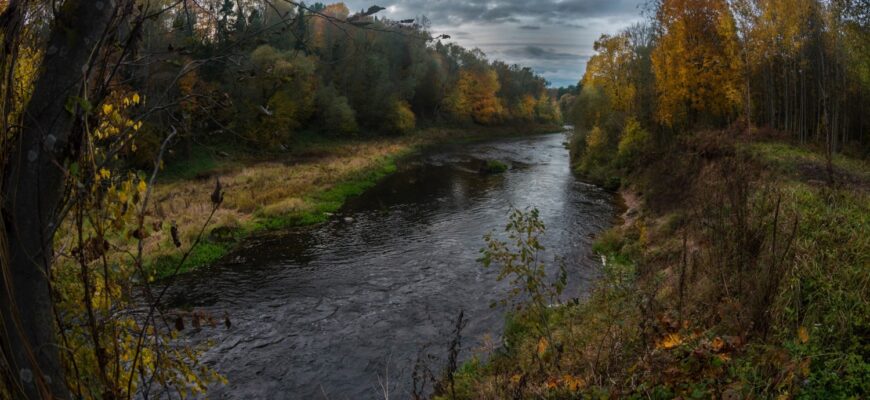 «Я будущую дочку назову твоим прекрасным именем — Лучёса» «Я будущую дочку назову твоим прекрасным именем — Лучёса»