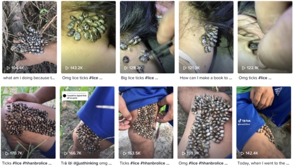 Что за дичь? В TikTok десятки миллионов просмотров набирают ролики «коллекционеров клещей» Что за дичь? В TikTok десятки миллионов просмотров набирают ролики «коллекционеров клещей»