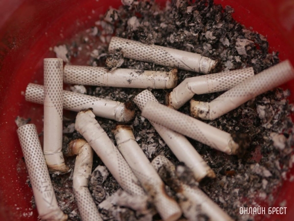 С 1 сентября в Беларуси подорожают 109 марок сигарет С 1 сентября в Беларуси подорожают 109 марок сигарет