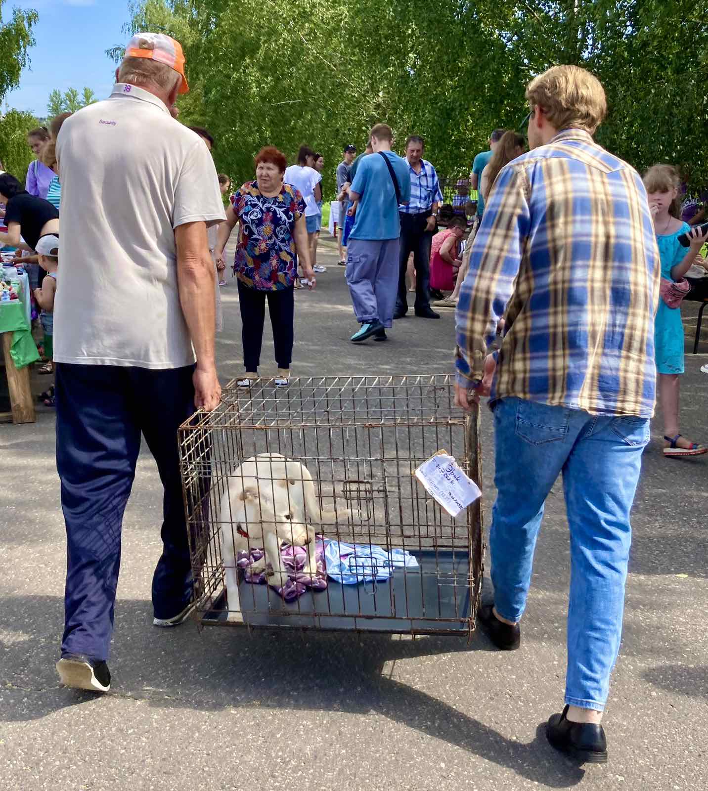 Витебскому приюту для животных «Добрик» — 12 лет