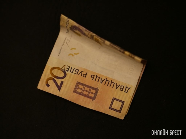 В формировании доходов бюджета области значимые позиции - у плательщиков Бреста