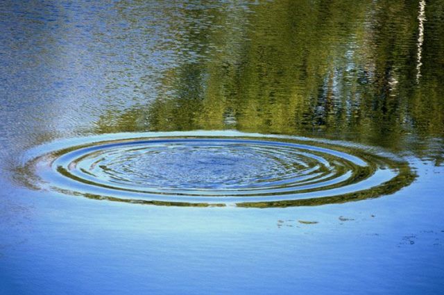 
												Трагедии на водоёмах Витебщины: четвёро погибших, двое спасены во время рыбалки
											