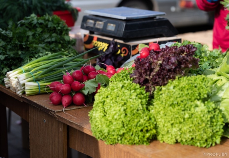 
												Первая весенняя ярмарка состоится в Витебске 5 апреля
											