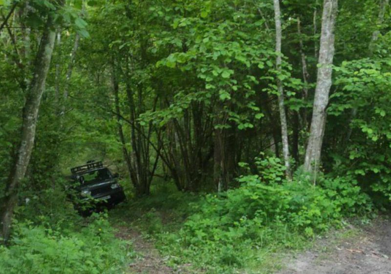 В Полоцком районе расследуют дело о незаконной добыче дикого кабана
В Полоцком районе расследуют дело о незаконной добыче дикого кабана